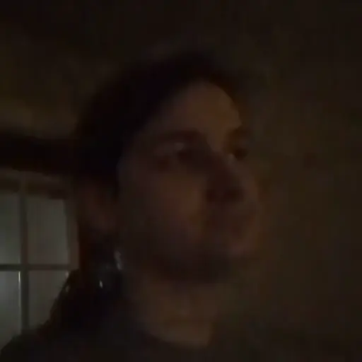 Alternating side profile views of my face to display the earrings.